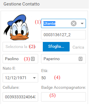mceclip5.png